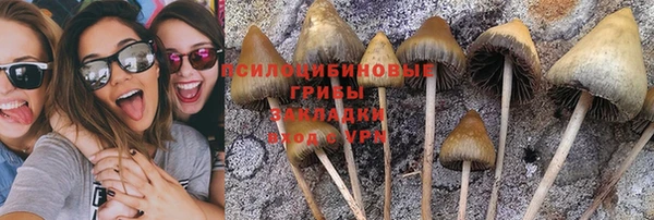 spice Баксан