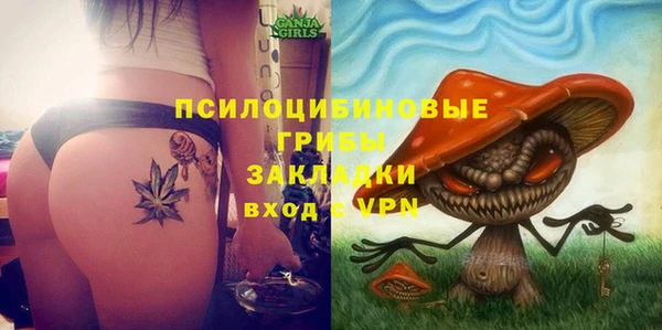 spice Баксан