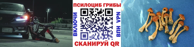 Галлюциногенные грибы Cubensis  цена   Чудово 